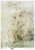 kwiaty polne, trawy, akwarela*field flowers, grasses, watercolour*Feldblumen, Gräser, Aquarell*flores de campo, hierbas, acuarela